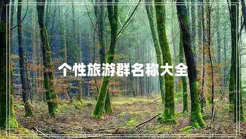 個(gè)性旅游群名稱大全