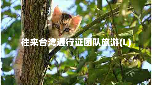 往來(lái)臺(tái)灣通行證團(tuán)隊(duì)旅游(L)