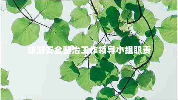 旅游安全整治工作領導小組職責