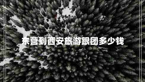 東營(yíng)到西安旅游跟團(tuán)多少錢