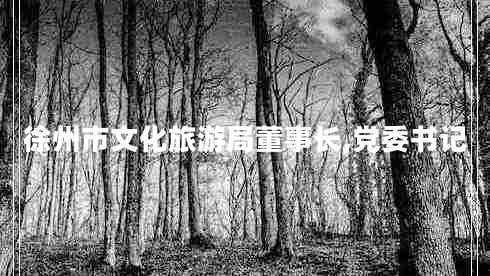 徐州市文化旅游局董事長(zhǎng),黨委書(shū)記