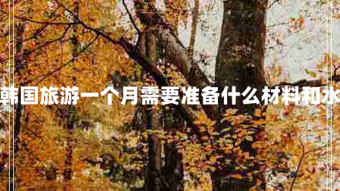 去韓國旅游一個月需要準備什么材料和水果