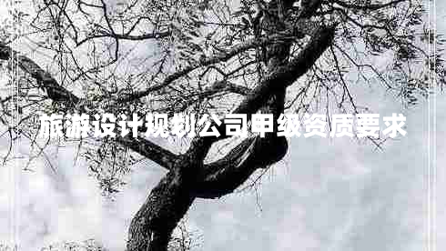 旅游設(shè)計規(guī)劃公司甲級資質(zhì)要求