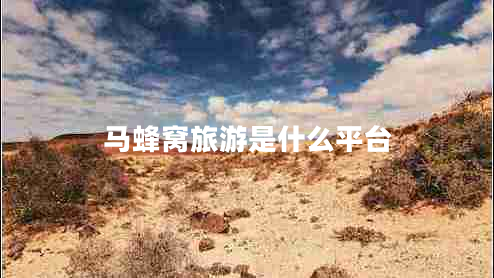 馬蜂窩旅游是什么平臺(tái)