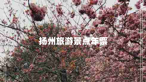 揚(yáng)州旅游景點(diǎn)年票