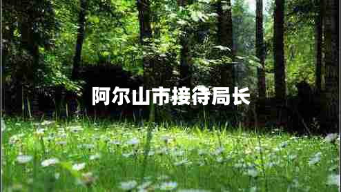 阿爾山市接待局長(zhǎng)