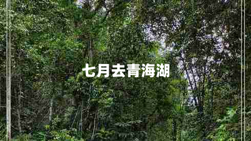 七月去青海湖