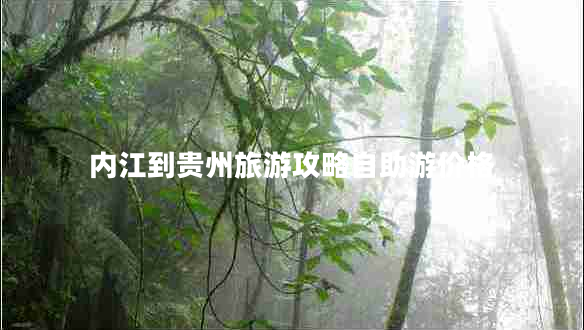 內(nèi)江到貴州旅游攻略自助游價格