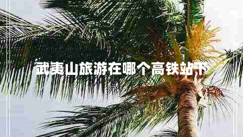 武夷山旅游在哪個高鐵站下
