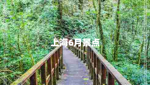 上海6月景點
