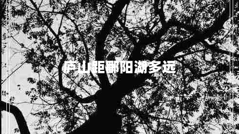 廬山距鄱陽(yáng)湖多遠(yuǎn)
