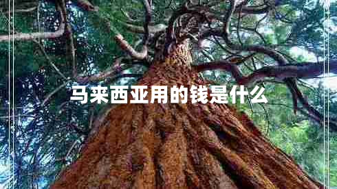 馬來(lái)西亞用的錢是什么