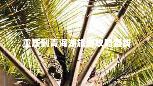 重慶到青海湖旅游攻略路線