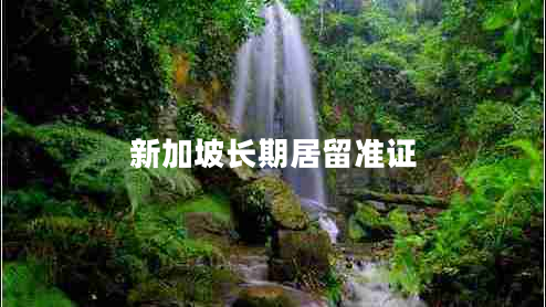 新加坡長(zhǎng)期居留準(zhǔn)證