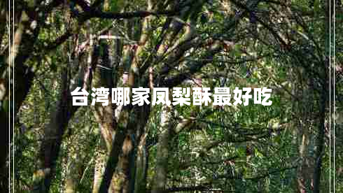 臺(tái)灣哪家鳳梨酥最好吃