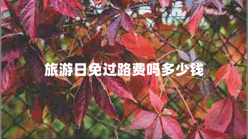 旅游日免過路費(fèi)嗎多少錢
