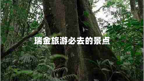 瑞金旅游必去的景點