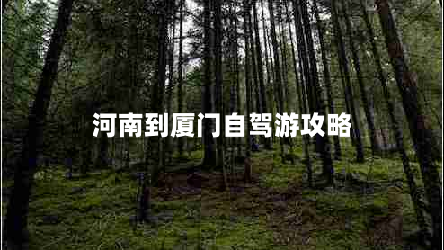 河南到廈門自駕游攻略