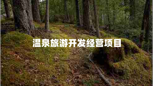 溫泉旅游開(kāi)發(fā)經(jīng)營(yíng)項(xiàng)目
