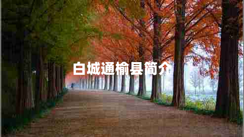 白城通榆縣簡介