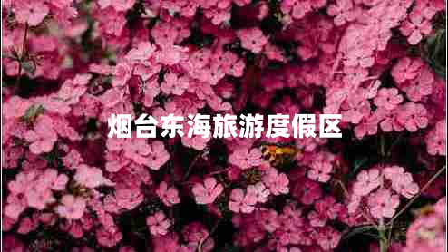 煙臺東海旅游度假區(qū)