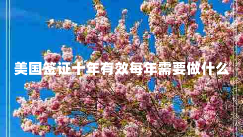 美國(guó)簽證十年有效每年需要做什么