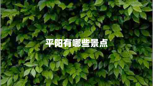 平陽有哪些景點