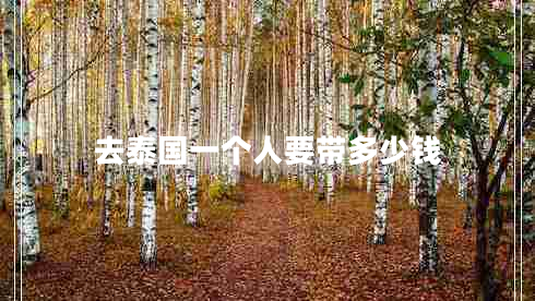 去泰國一個人要帶多少錢