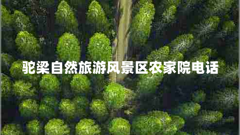 駝梁自然旅游風(fēng)景區(qū)農(nóng)家院電話