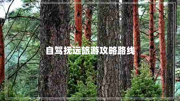 自駕撫遠(yuǎn)旅游攻略路線