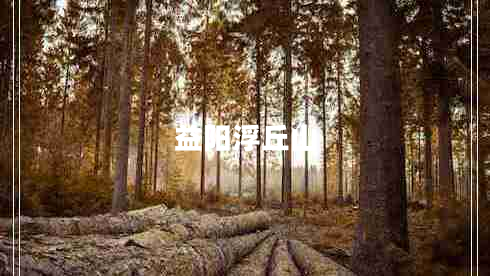 益陽浮丘山