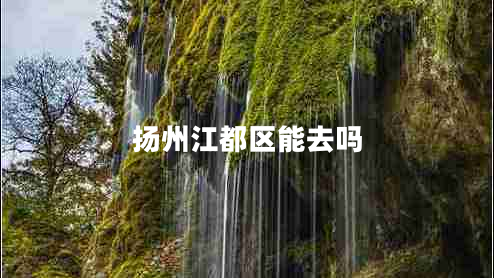 揚州江都區(qū)能去嗎