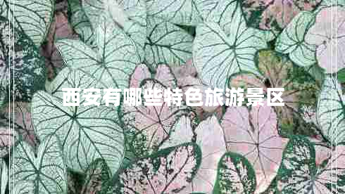 西安有哪些特色旅游景區(qū)