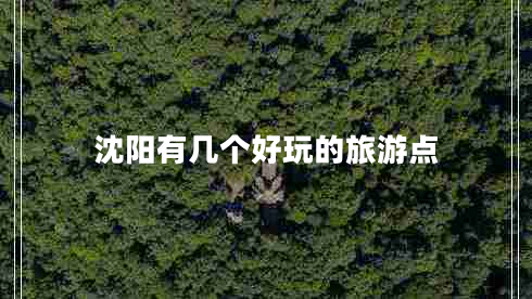 沈陽(yáng)有幾個(gè)好玩的旅游點(diǎn)