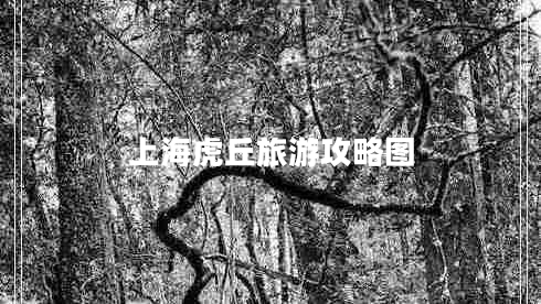 上?；⑶鹇糜喂ヂ詧D