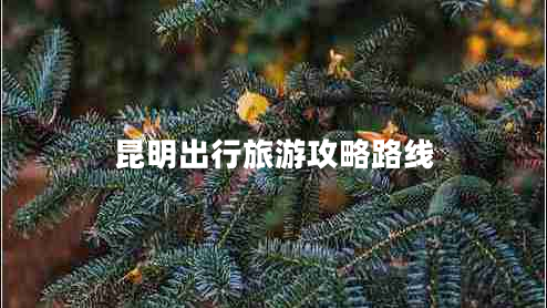 昆明出行旅游攻略路線