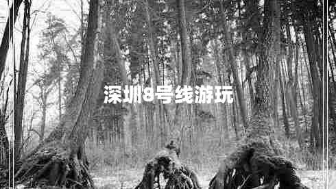 深圳8號(hào)線游玩