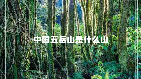 中國(guó)五岳山是什么山
