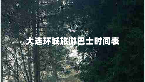 大連環(huán)城旅游巴士時間表