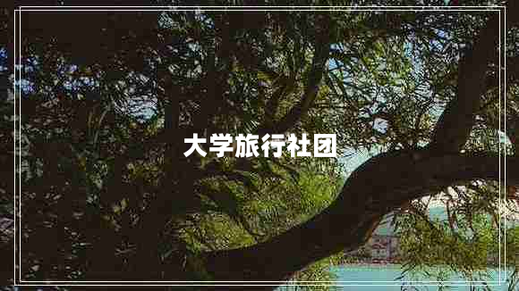 大學(xué)旅行社團(tuán)