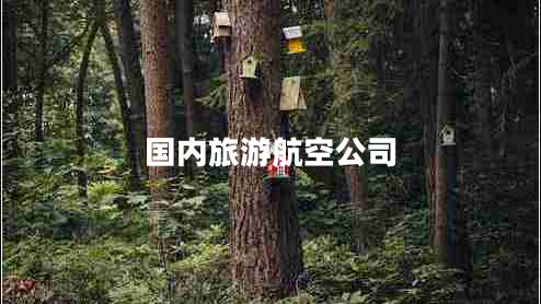 國(guó)內(nèi)旅游航空公司