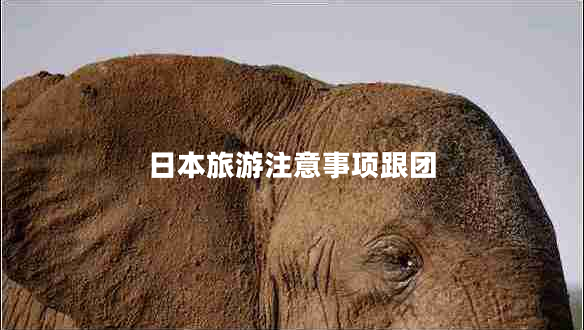 日本旅游注意事項(xiàng)跟團(tuán)