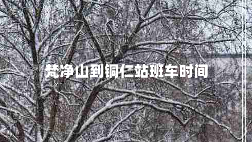 梵凈山到銅仁站班車時間