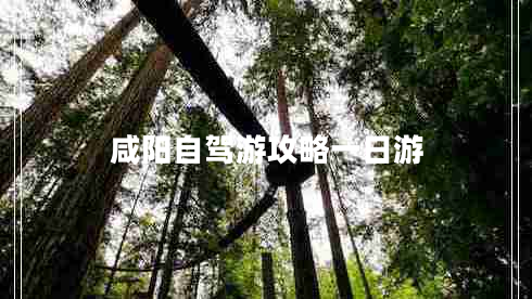 咸陽自駕游攻略一日游