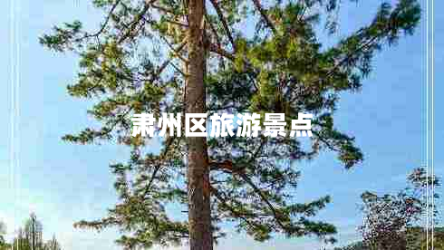 肅州區(qū)旅游景點