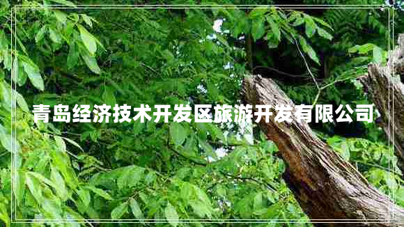 青島經(jīng)濟(jì)技術(shù)開發(fā)區(qū)旅游開發(fā)有限公司