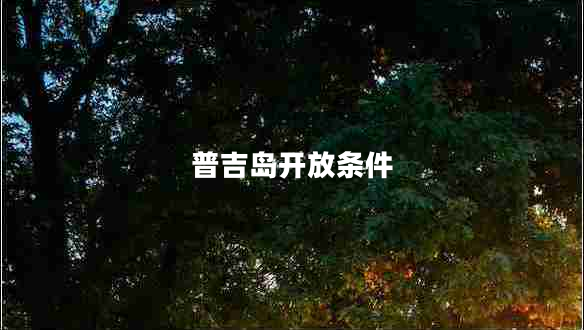 普吉島開放條件
