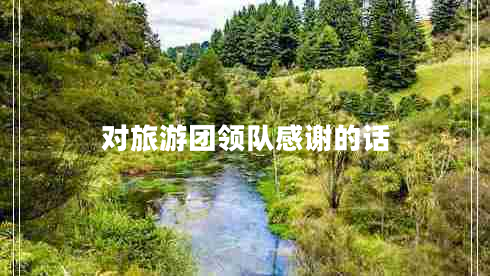 對旅游團領(lǐng)隊感謝的話