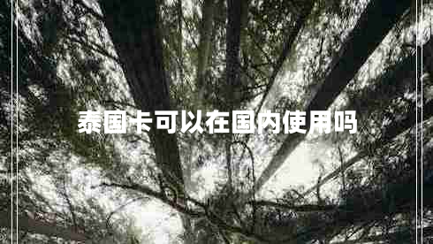 泰國(guó)卡可以在國(guó)內(nèi)使用嗎
