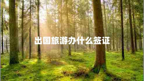 出國(guó)旅游辦什么簽證